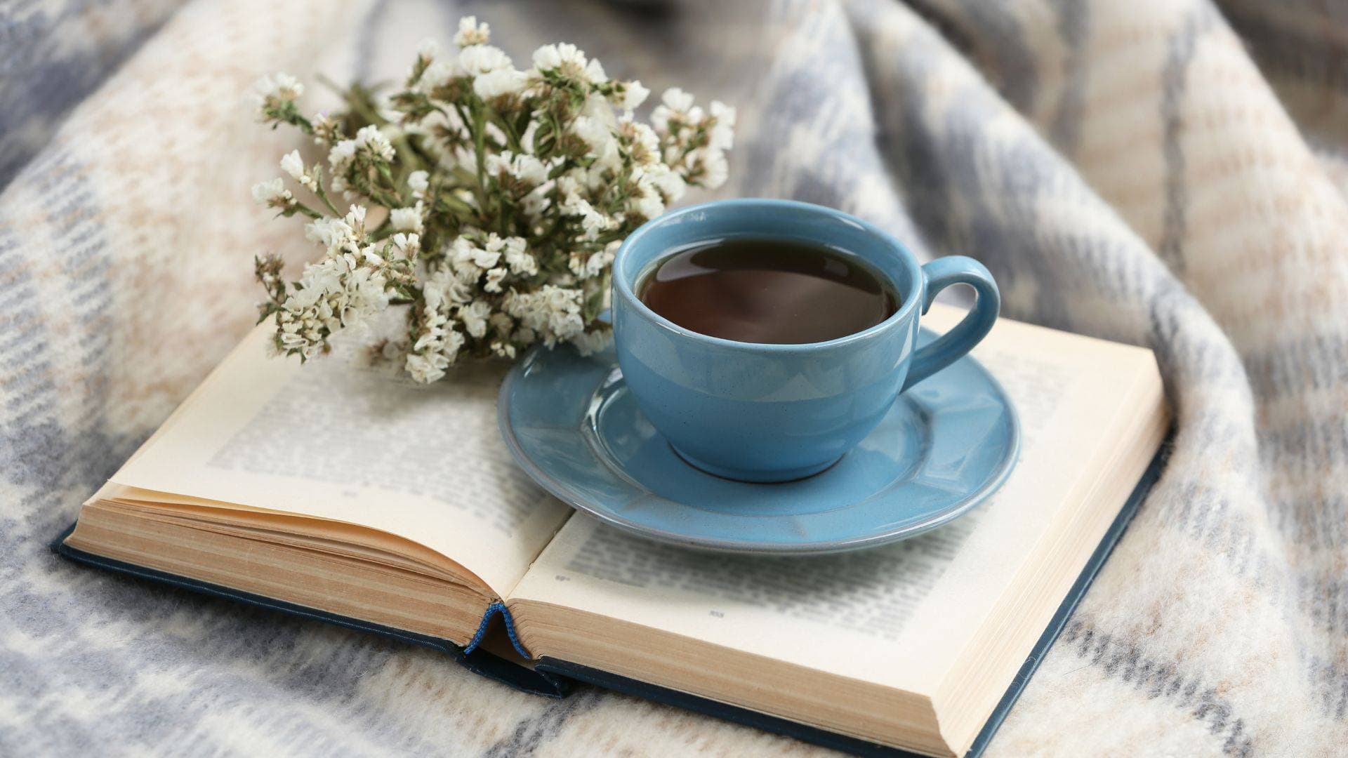 Book lover décor: the spines that might sell your home